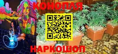 ешки Прохладный