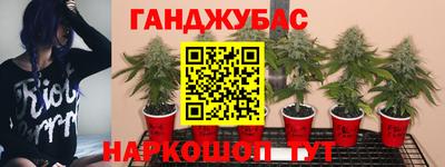 ешки Комсомольск-на-Амуре